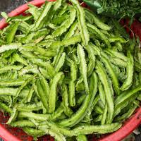 Image result for Psophocarpus grandiflorus