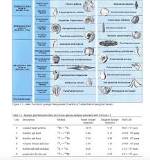 Lab Exercise 12 Stratigraphic Correlation Name Cou