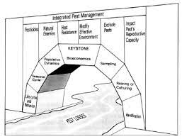 Integrated pest management (ipm) is the careful consideration of all available pest control techniques and appropriate measures to discourage the development of pest populations and keep pesticides and other interventions to levels that are econom. 1 Schematic Representation Of The Major Components Of An Insect Pest Download Scientific Diagram