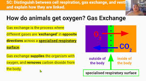 Gas Exchange - Wikipedia