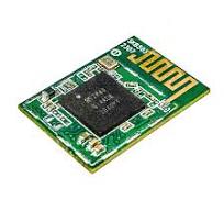 Nordic nRF52840 BLE5.0 Wireless Bluetooth Module SKB503