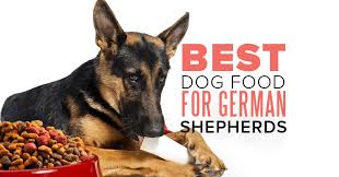 What Is The Best Dog Food For A German Shepherd Shepped Com