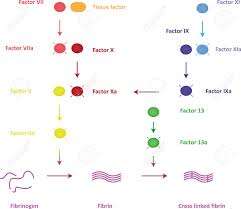 Contaminacion en méxico la contaminación es un cambio perjudicial en las características físicas, químicas o biológicas del aire, la tierra o el agua. La Coagulacion De La Cascada Fotos Retratos Imagenes Y Fotografia De Archivo Libres De Derecho Image 63908977