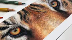Howto Draw A Realistic Tiger Eye Study With Colored Pencil Eye Drawing Realistic Drawings Realistic Eye Drawing