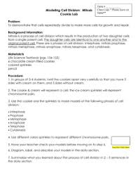 .cycle worksheet answer key students will use the process of science to generate and answer eukaryotes cell survival cell differentiation cell typically students practice by working through lots of sample problems and checking their answers against those. Time For Mitosis Lab