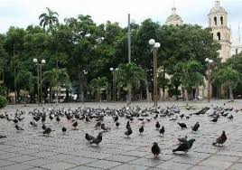 Explore north of santander travel guide before you plan your trip here. Cucuta Photos Featured Images Of Cucuta Norte De Santander Department Tripadvisor