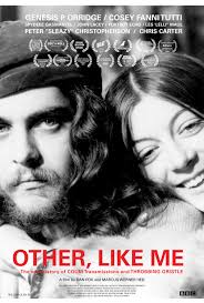 Experimental music documentaries