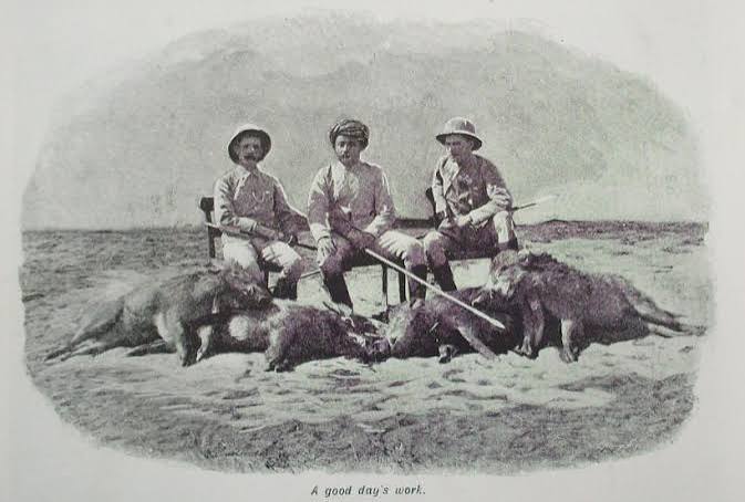 Pig Sticking | Faithful Readers
