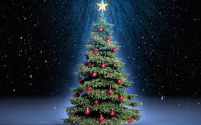Bildergebnis für tannenbaum