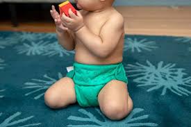 The nappy is thrown away after it is soiled. The Best Cloth Diapers Reviews By Wirecutter