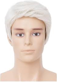 White Wig Men's Short Hair Wigs Synthetic Layered Fluffy Daily Cosplay  Costume Men's White Wig : Amazon.de: Beauty