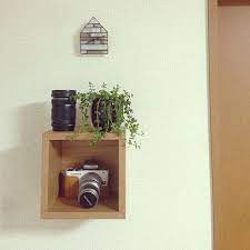 リビング 観葉植物 無印良品 カメラ収納 ステンドグラスのインテリア実例 2014 07 11 20 10 34 roomclip ルームクリップ リビング 観葉植物 カメラ 収納 無印良品 リビング