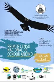 Estos son los nominados a los globos de oro 2021. Fundacion Condor Andino Ecuador A Twitter Censocondorcolombia Manana Estaremos Apoyando El Primer Censo De Condores En Colombia Esta Actividad Ha Sido Replicada En Nuestro Hermano Pais Para Establecer Una Cifra Total
