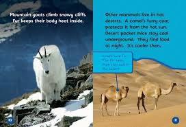 The name camel comes from the greek kámēlos from the hebrew 'gamal' or the humps are a reservoir of fatty tissue, but the water is stored in their blood. Do You Know About Mammals Lerner Publishing Group