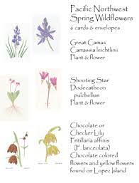 We did not find results for: Pacific Northwest Spring Wildflowers Eventeny