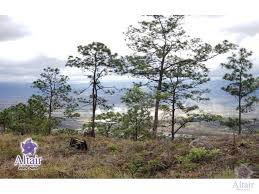 It was founded in 1770 by don alvaro de zambrano i. Se Vende Terreno En Bosques De Zambrano L775 000 Hnl