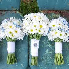 Demure shasta style no other flower says young love like the shasta daisy. Shasta Daisy Flower Seeds Usa Garden Organic Susan Sunflower Etsy In 2021 White Daisy Wedding Bouquet Daisy Wedding Flowers Daisy Bouquet Wedding