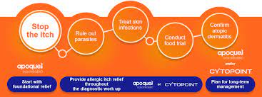 Check spelling or type a new query. Tailoring Your Approach To Itchy Dogs With Apoquel And Cytopoint Vetgirl Veterinary Continuing Education Blog