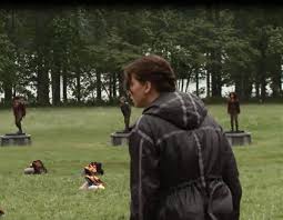 In each year's hunger games, the tributes launch into the arena and start off in the shape of semicircle, equidistant to the cornucopia. 1st Hunger Games Arena Shefalitayal