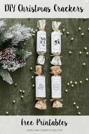 A hookbill and zygodactyly feet. Diy Christmas Crackers So Much Better With Age