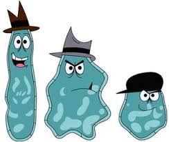 The Amoeba Brothers Feat Directory Wiki Fandom In 2020 Girl Posters Powerpuff Girls Powerpuff Girls Cartoon Make sure to bookmark our website, thank you! powerpuff girls
