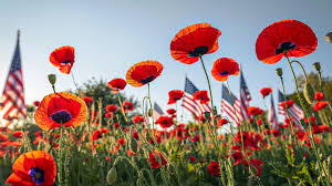 Image result for Poppy Red 1993 Town and Country