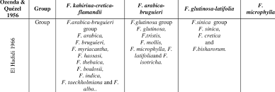 Image result for Fagonia isotricha