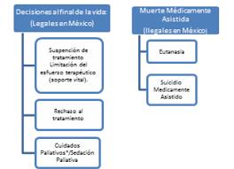 Volumen i — aspectos éticos y humanos (en inglés). Decisiones Al Final De La Vida En Mexico