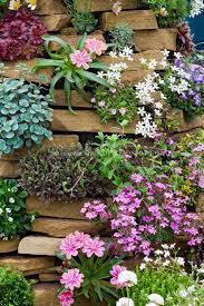 Pin By Gardening Dig It On Gardening Ideas Tips Rock Wall Gardens Rock Garden Plants Plants