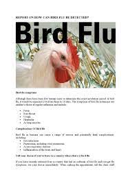 Bird flu illness in people has ranged from mild to severe. Bird Flu Symptoms By Md Papon Issuu