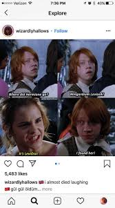 Harry Potter Movies Prime From Harry Potter Characters Movie Vs Book Opposite Harry Potter Memes Harry Potter Goblet Harry Potter Characters Harry Potter Puns