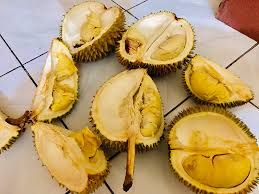 Cuma di daerah ini kalian bisa makan durian enak harga rp10.000. Sumatera Utara Lagi Musim Durian Harganya Cuma Rp Genpi