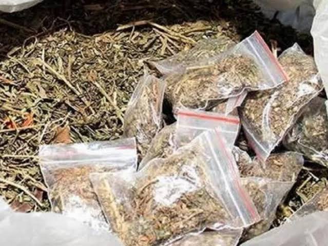 पुण्यातून अडीच किलो गांजा जप्त