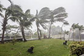 Image result for cyclone idai hits mozambique