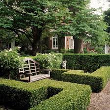 19 Of The Best Low Maintenance Shrubs For Creating Easy Care Hedges Garden Hedges Boxwood Garden Outdoor Gardens