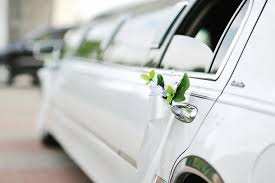 We have now placed twitpic in an archived state. 5 Things You Can Expect From Your Wedding Limo Driver