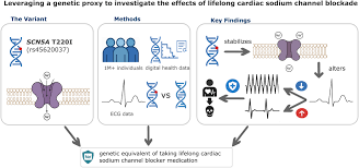Image result for Sodium Channel Blocker