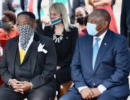 Ramaphosa Self Quarantines After Covid 19 Exposure At Function Knysna Plett Herald knysna plett herald