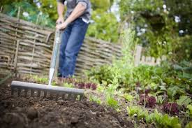 So first, take a look at how much your family will eat when you think about how to plan a vegetable garden. Vegetable Gardening For Beginners Small Vegetable Garden Ideas