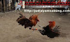 Filipina atau republik filipina (bahasa tagalog: Pin Di Berita Ayam Bangkok