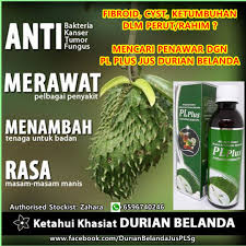 ^ plusplus channel page on group site. Pl Plus Jus Durian Belanda Health Nutrition Health Supplements Health Food Drinks Tonics On Carousell