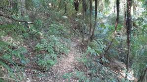 Eficiência energética no sistema cedae guandu. Wikiloc Pedra Grande Trail
