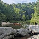 Oconee County Clovers 2026 Hikes - Woodall Shoals