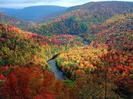 Upstate New York As You Can See Beautiful In The Fall Upstatenytravel Lake George Upstate Ny Upstate New York