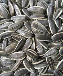 Kuaci adalah salah satu camilan yang paling membuat ketagihan. Jual Kuaci Kwaci Biji Bunga Matahari Rebo 1 Kg Di Lapak Snackiloan Bukalapak