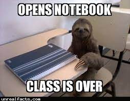 Do Sloths Grab Their Own Arms And Fall To Their Death Unreal Facts For Amazing Facts