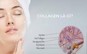 Sự thật về thực phẩm bổ sung collagen: Có hiệu quả như chúng ta vẫn nghĩ?
