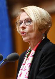 Elections in times of crisis: challenges and opportunities