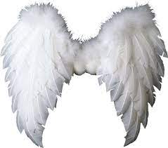 Pin By Isabel On Ch Clary Fray Angel Wings Png Wings Png Wings