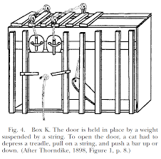 Operant conditioning is a method of learning that occurs through rewards and punishments for behavior. Paper Summary Thorndike S Puzzle Boxes And The Origins Of The Experimental Analysis Of Behavior By Jae Duk Seo Towards Data Science